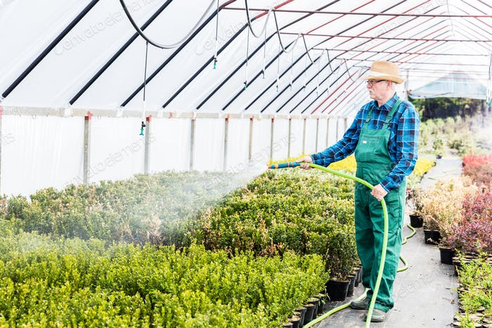 How to Start a Plant Nursery Business