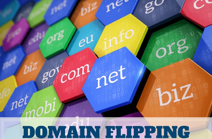 domain flipping