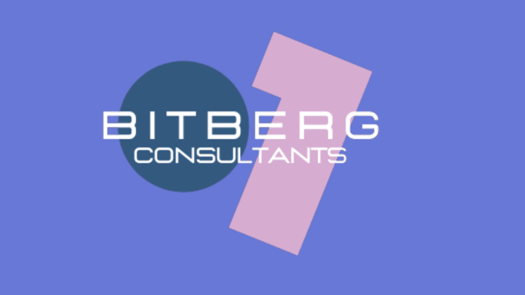 Bitberg Consultants