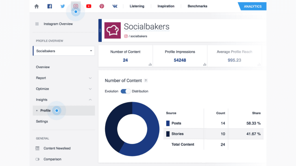 Socialbakers dashboard 