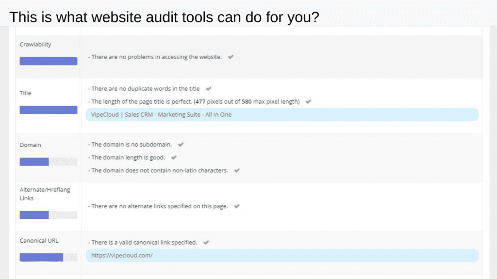 This is what website audit tools can do for you?