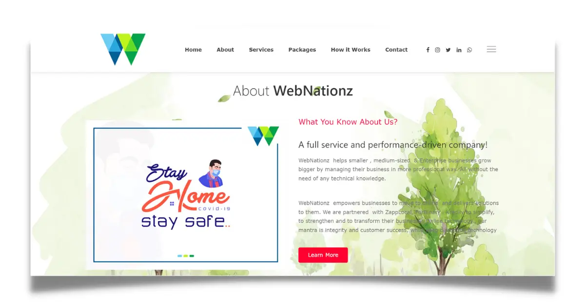 WebNationZ SEO company in Raipur