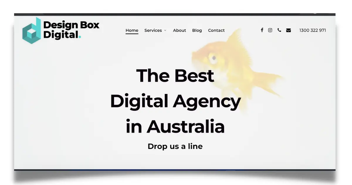 Design Box digital marketing agency in Sydney
