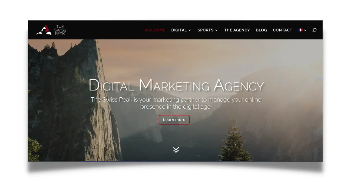 The Swiss Penk Digital Marketing Agency in Switzerland