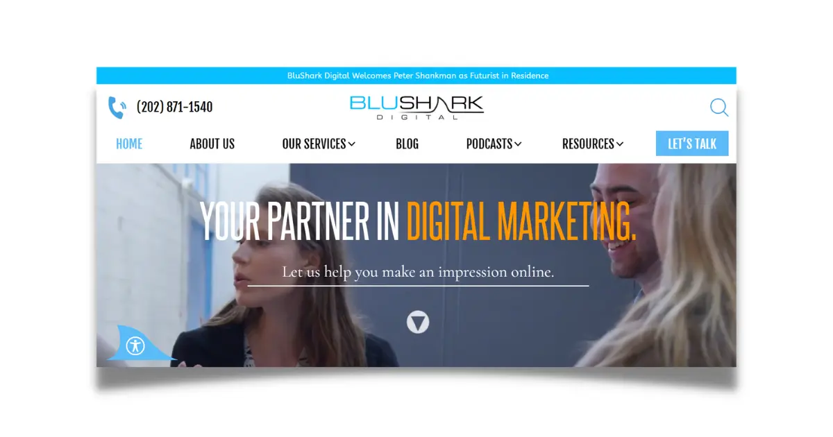 BLUSHARK Digital Marketing Agency in Washington DC
