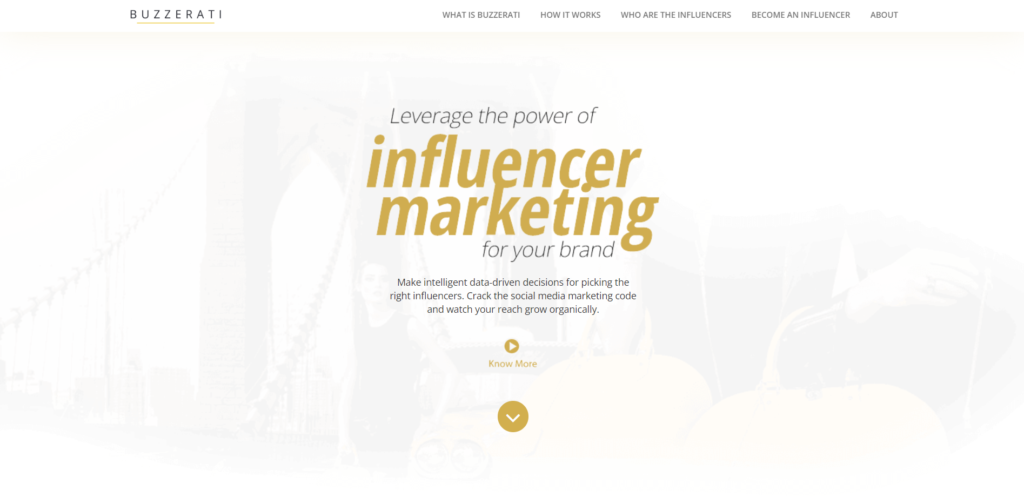 Top Influencer Marketing Agencies for Your Next Campaign