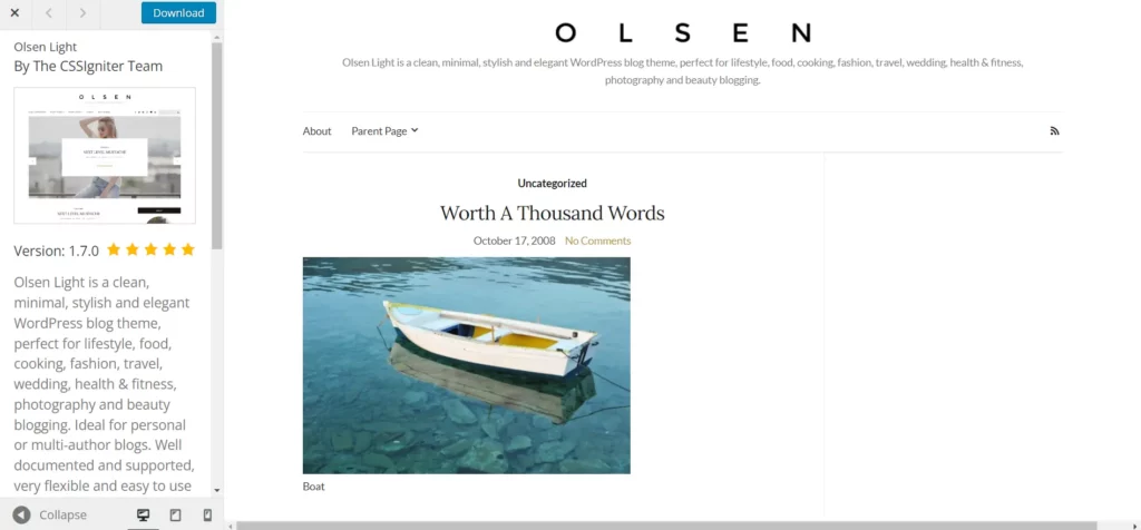 WordPress Blog Themes - olsen