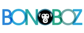 Digital Marketing Agencies in Ahmedabad - bonoboz